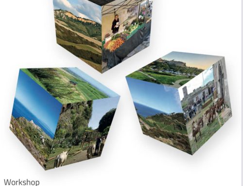 workshop Distretti biologici Italiani – Roma 20-21 novembre 2024