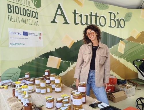 Mostra del Bitto – 18-19 ottobre 2025